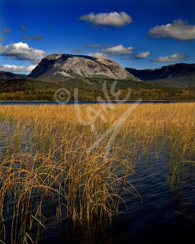 Gros Morne